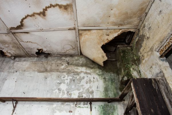 Water Damage Service in Hayden