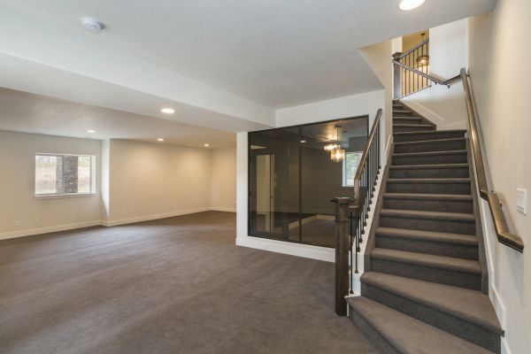 Cost of Basement Restoration Service in Hayden