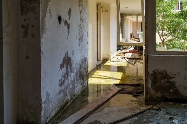 Water Removal Service in Hayden