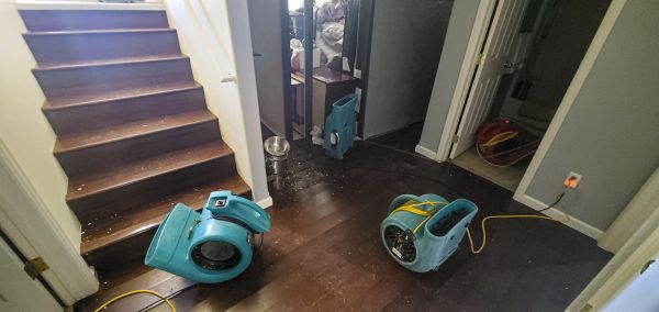 Water Damage Remediation in Hayden