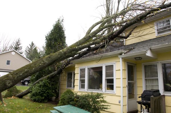 Hurricane Damage Repair in Hayden